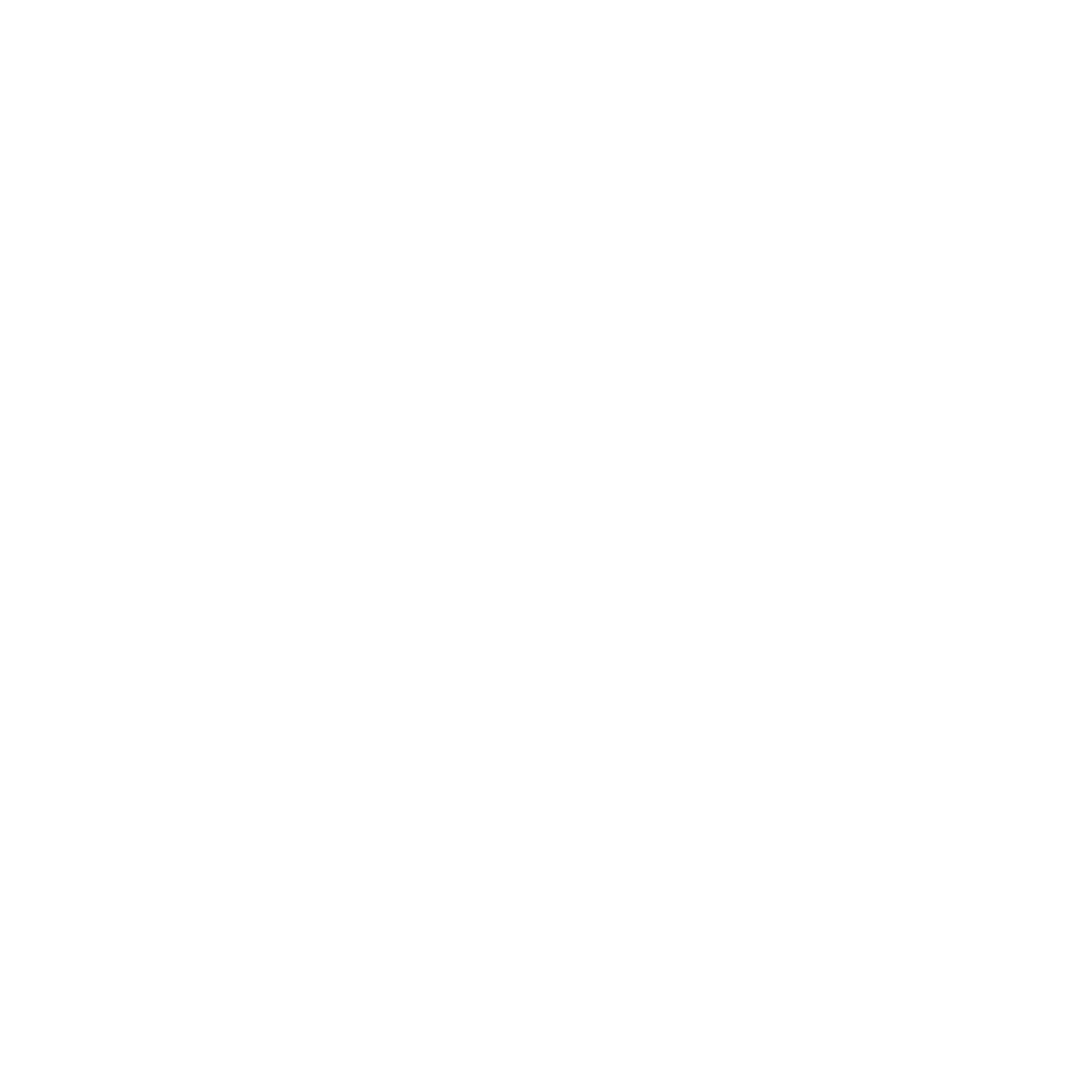 Security features icon